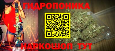 стаф Жуковский