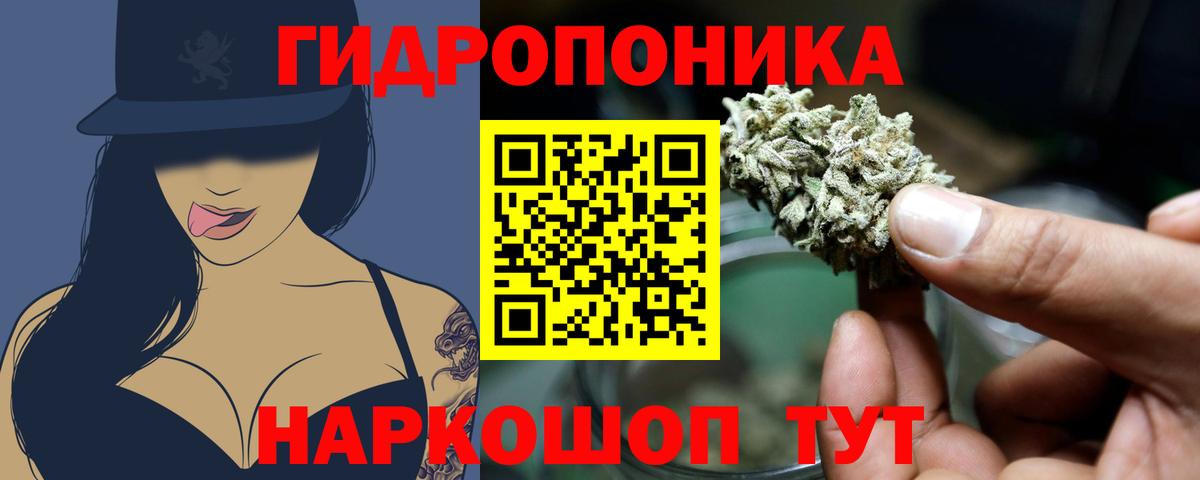 Бошки марихуана сатива Камышлов